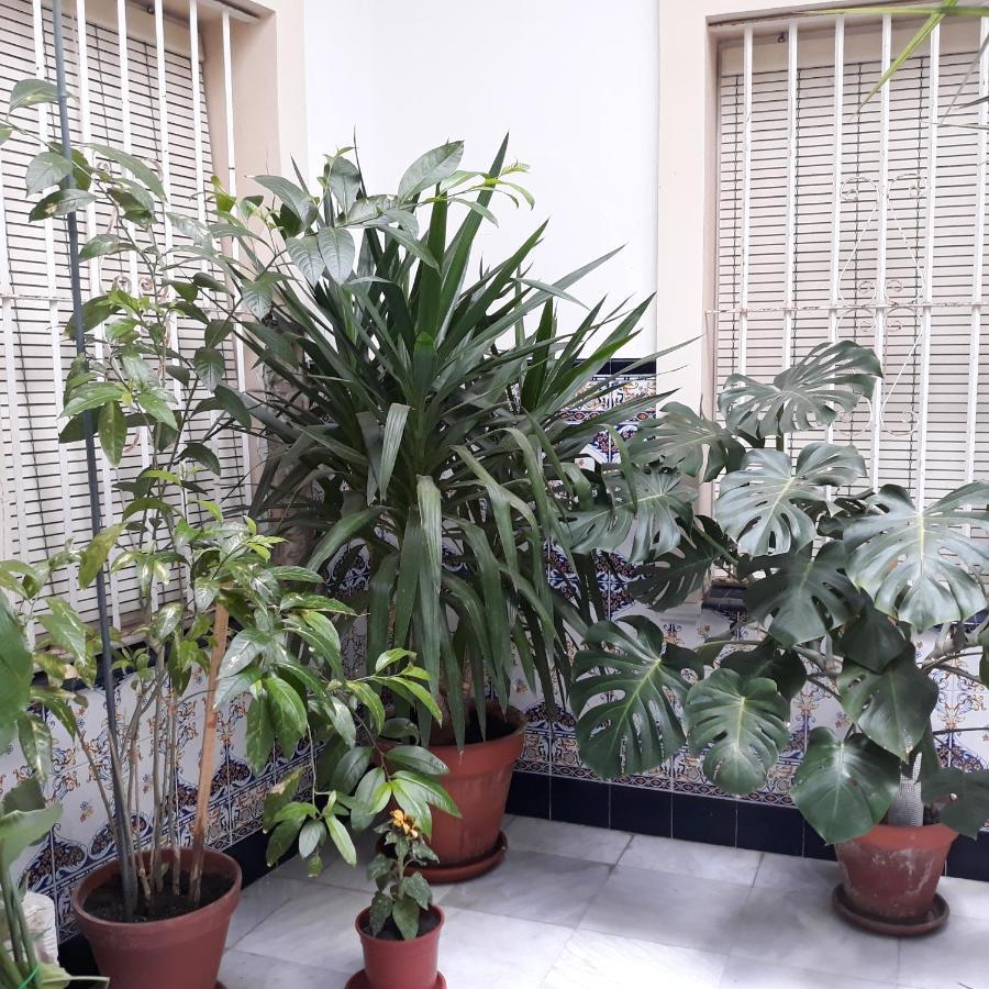 Apartmán Atico Soleado Cádiz Exteriér fotografie