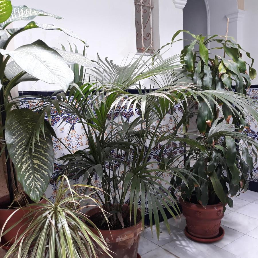 Apartmán Atico Soleado Cádiz Exteriér fotografie